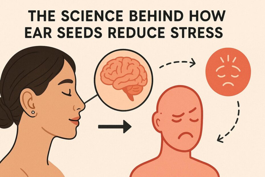 The Science Behind How Ear Seeds Reduce Stress